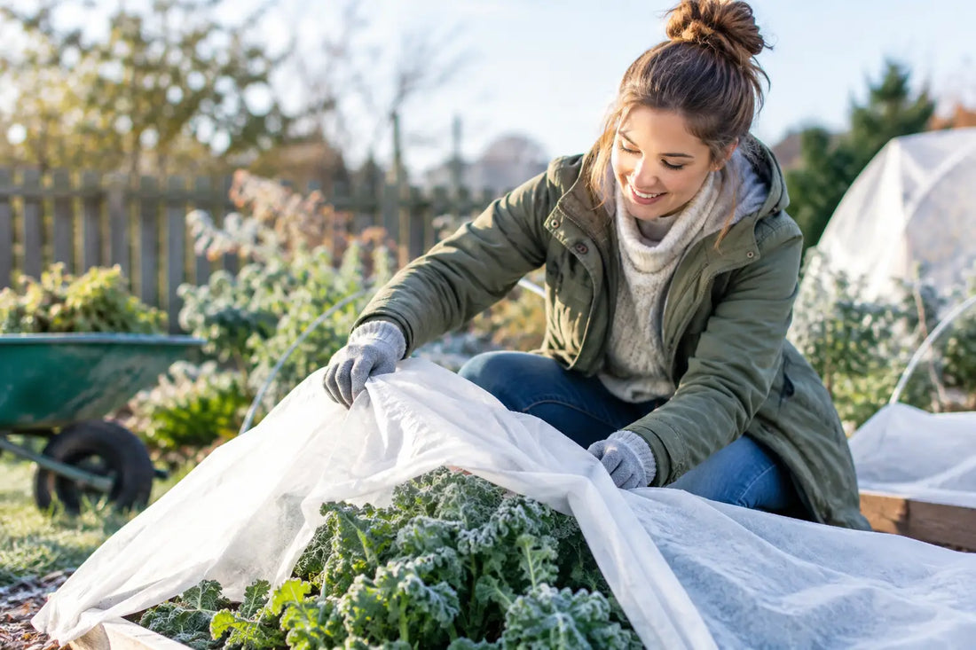 Protecting Plants From Frost in Your Backyard