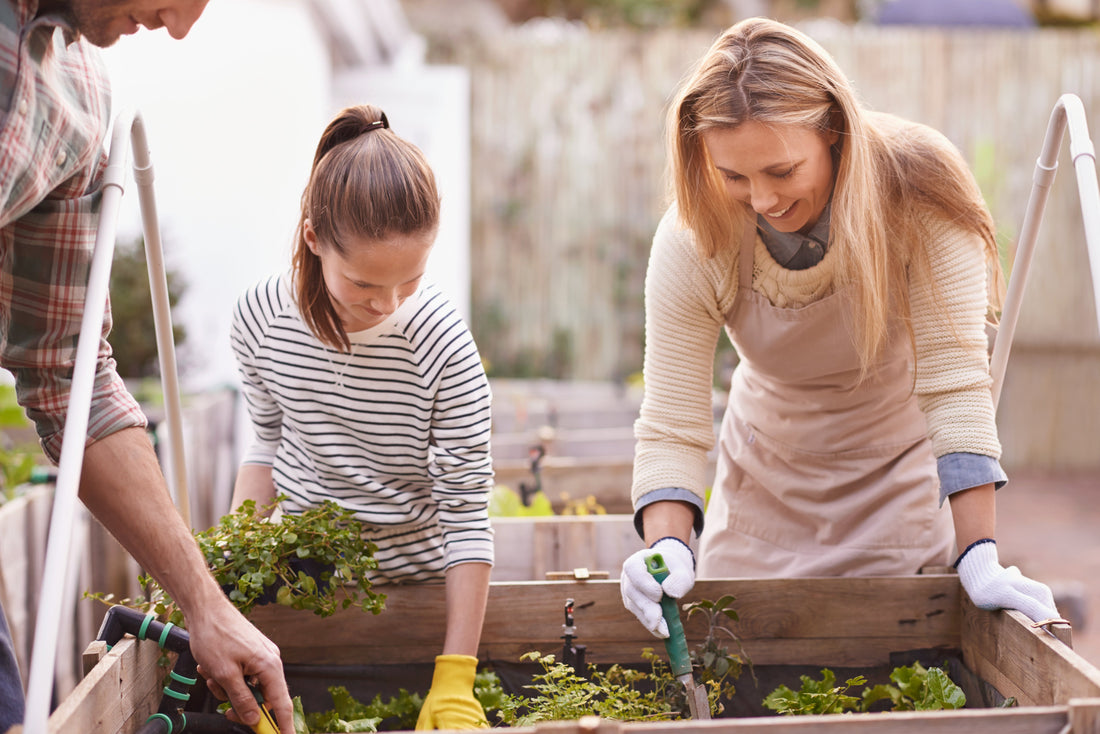 What Are the 20 Most Common Gardening Tools?