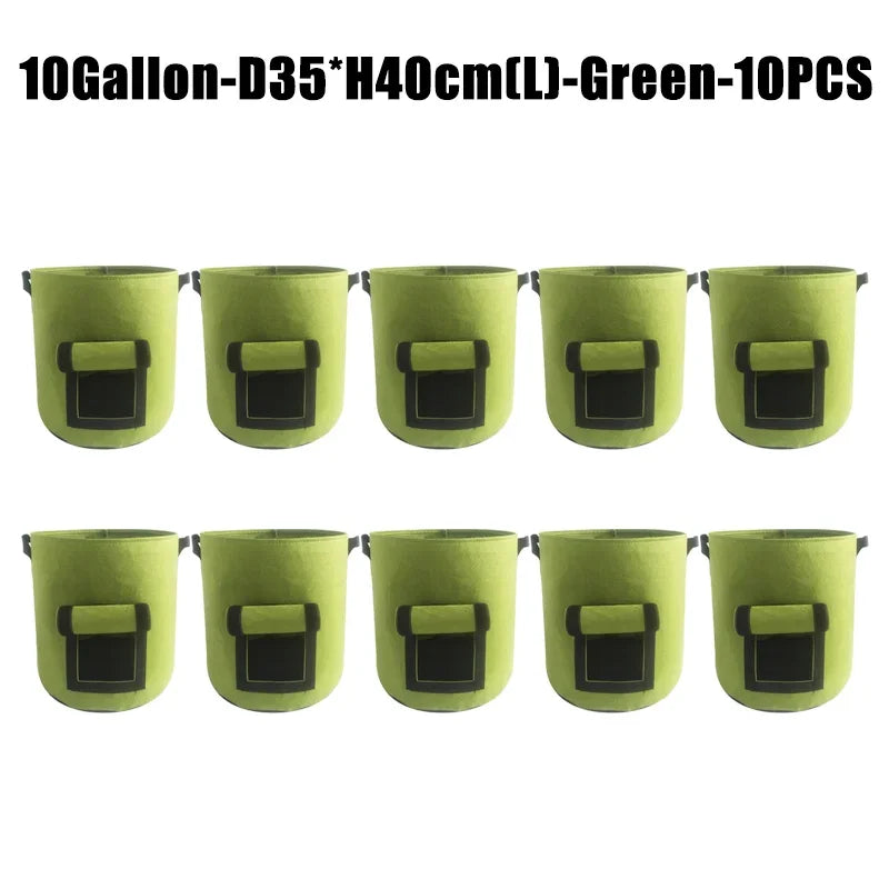 10 gallon 10pcs