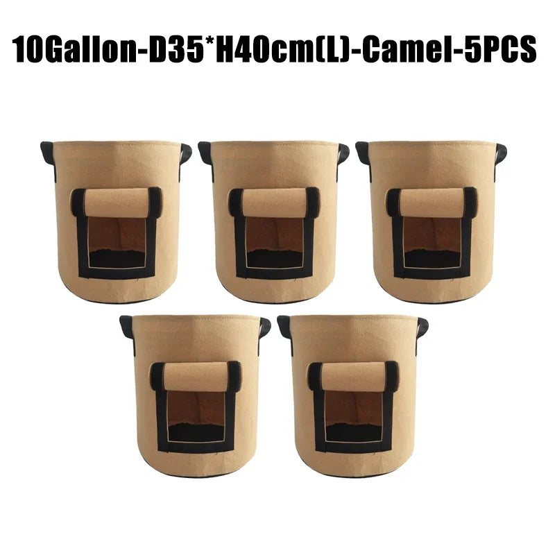 10 gallon camel 5 pcs