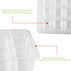 4 x 12-Cell Seed Starter Trays drainage holes