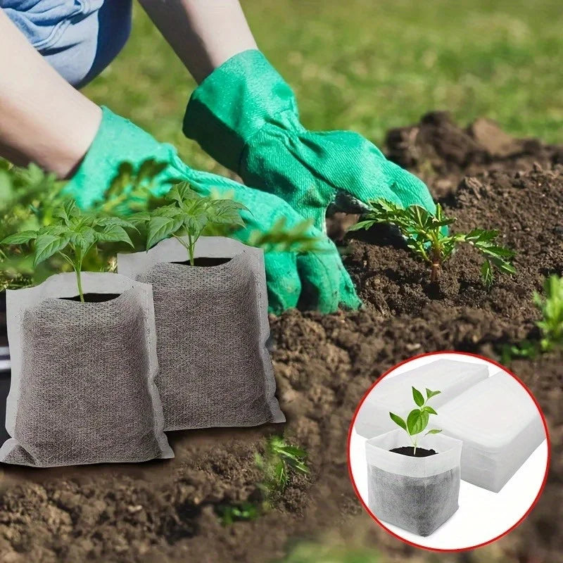 Biodegradable plant bags