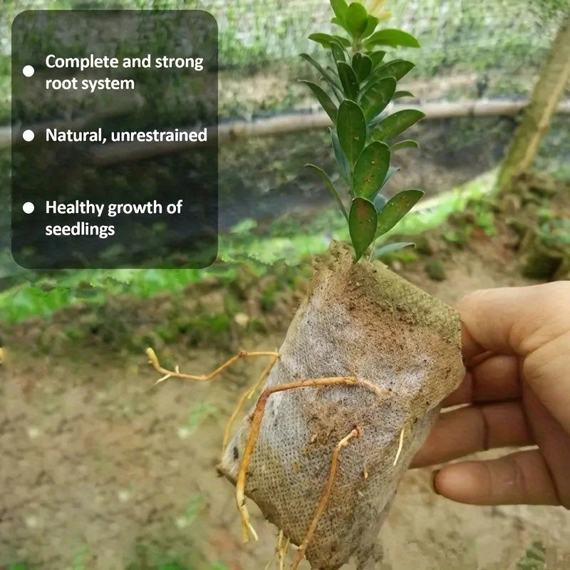 Biodegradable plant bags with roots coming out