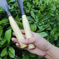 Versatile Gardening Shovels