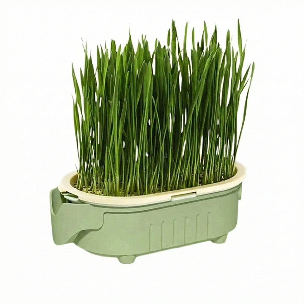 Natural Cat Grass Growing Kit for Hairball Relief & Healthy Digestion – Reusable Planter Bowl Set (Seeds Not Included)