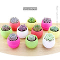 Mini Colourful Round Plastic Plant Flower Pot Garden Home Office Decor Planter Desktop Flower Pots Gardening Accessories