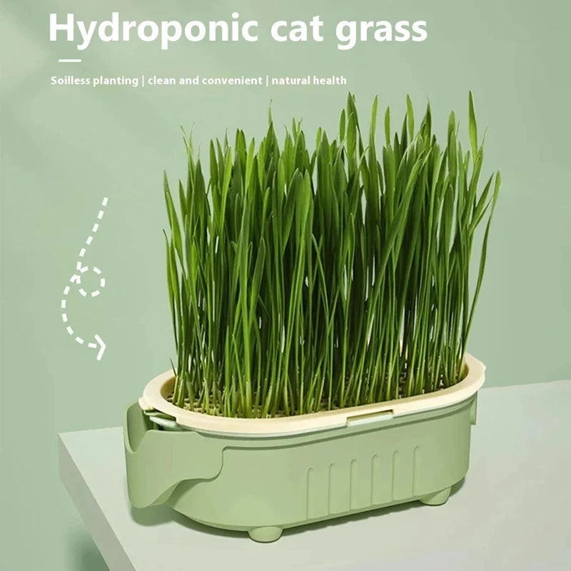 Hydroponic Cat Grass Planter