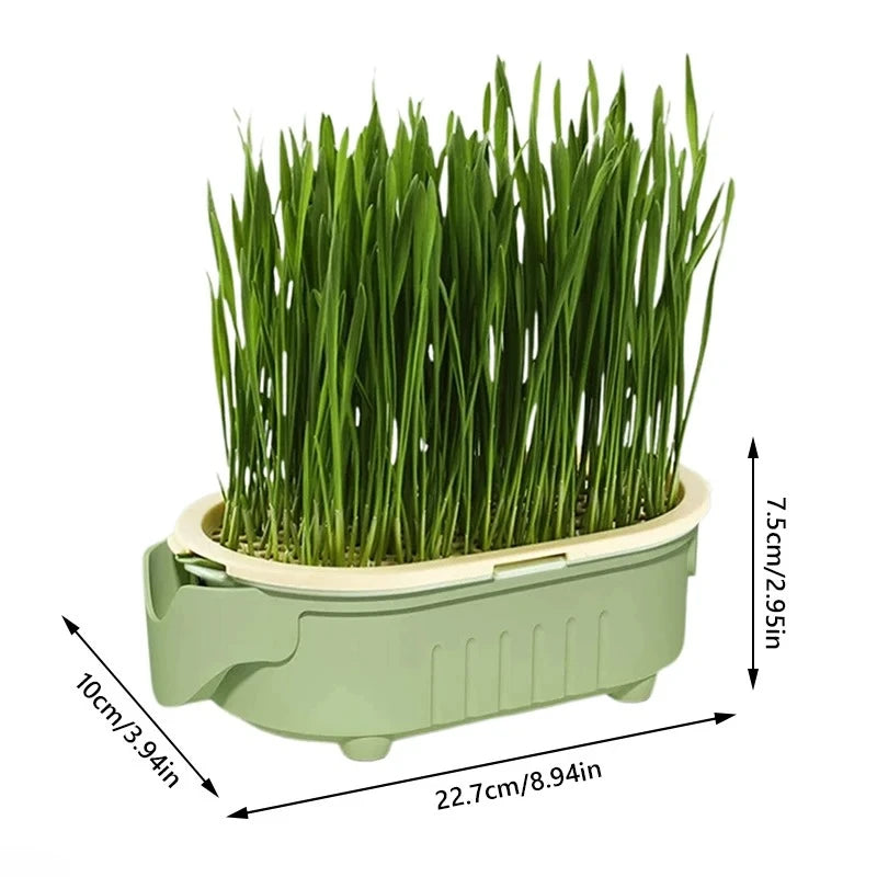 Hydroponic Cat Grass Planter dimensions