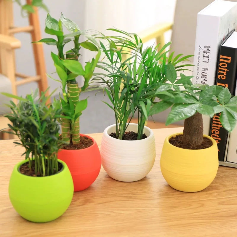 S01f5851048ae4b22ade2f5ad84bdbed3v