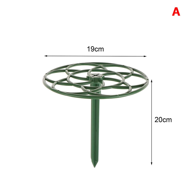 S12f36af4d7084493804fed035d20d1f8N