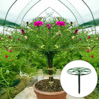 S1807dbbc35ea4f92a1f9ed3c51d343d4N