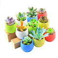 Mini Colourful Round Plastic Plant Flower Pot Garden Home Office Decor Planter Desktop Flower Pots Gardening Accessories