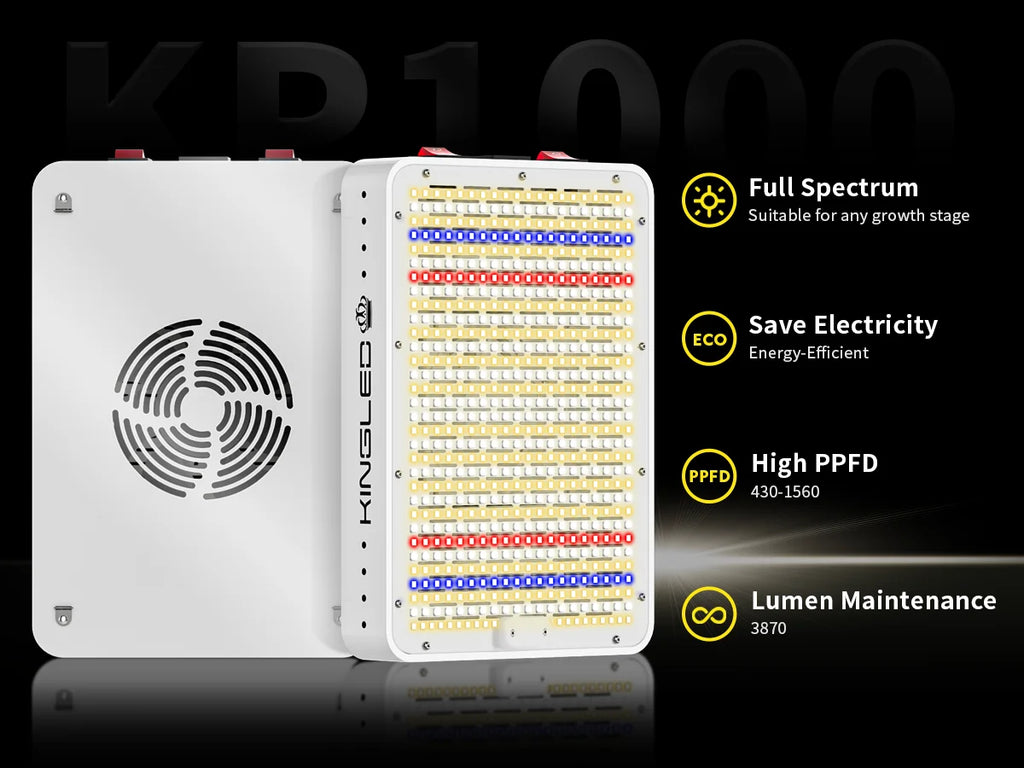 S2546f4a55c3445fcbbd560a2fd890498V