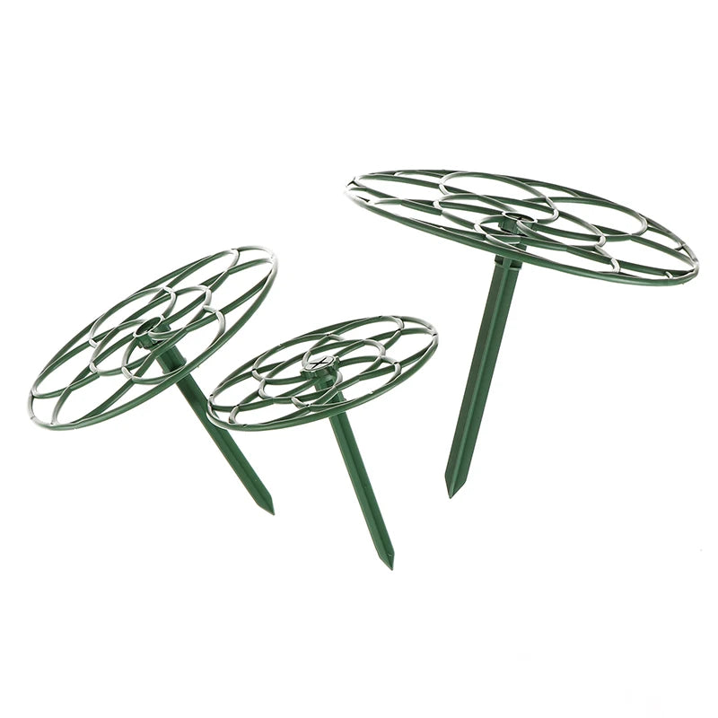 S29fbe159d5784c149b061a578e7f608bF