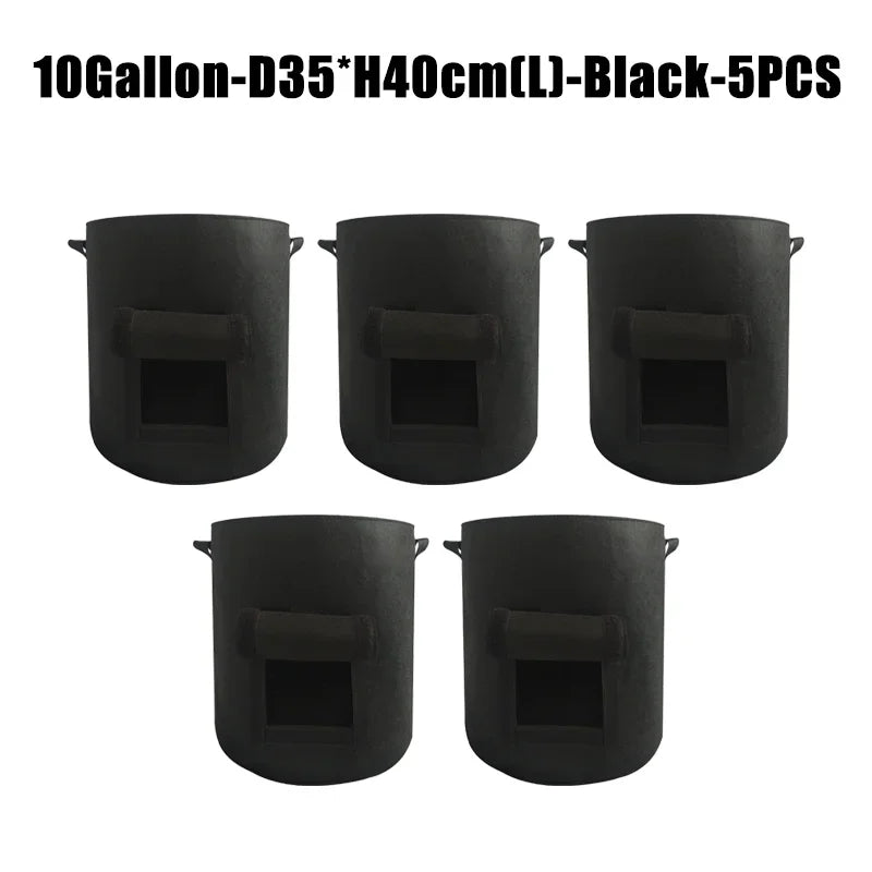 S450ea4c667824917afa5b63f90d86cbbx