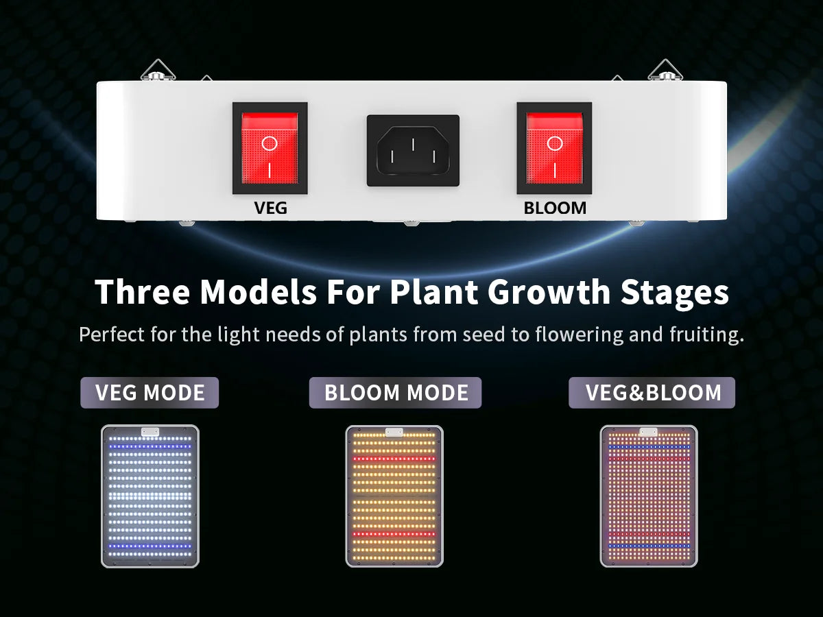 S6e67e1e598814939bbc4cf9efcd66e31q