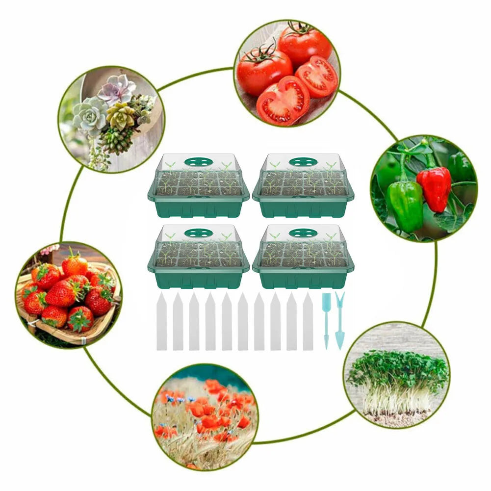 S94ee4c988c214a069d63a96203f46b09k