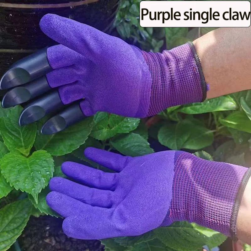 S96cc72df5ae54a11be6f0a75ca004d30p