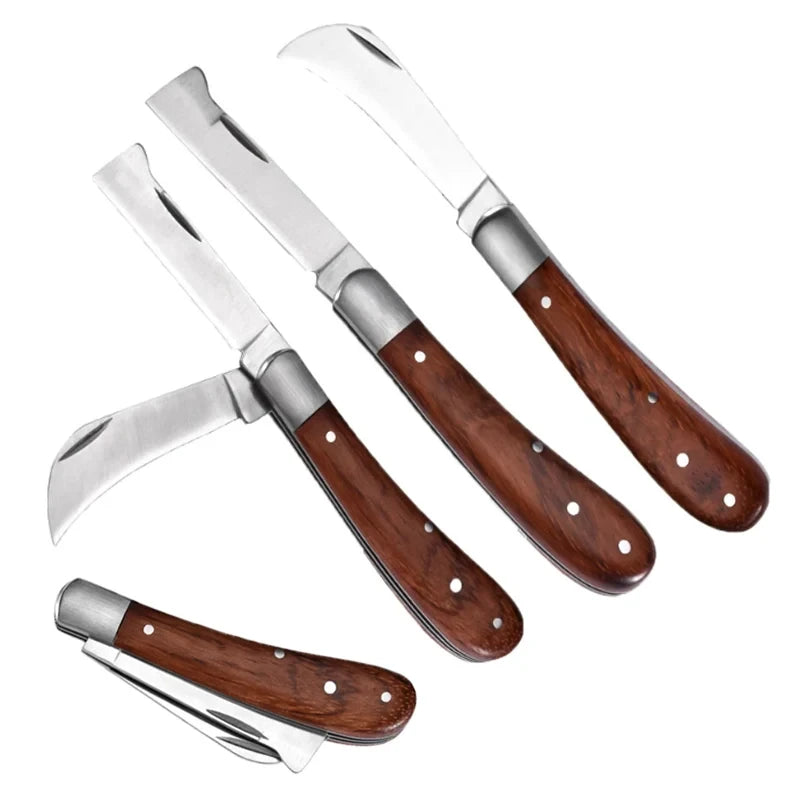 S9e82308645044969a018a80ddd0fde125