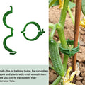 100 PCS Plant Support Clips Plastic Ties Trellis Stake Clips Garden Veggie Tomato Greenhouse Holder For Garden Tools Accessories