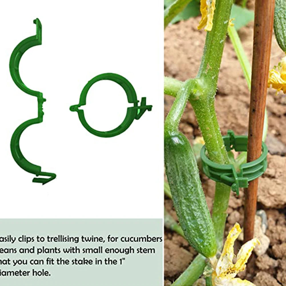 Sa22110bf3912485496e9002d50783f6b9