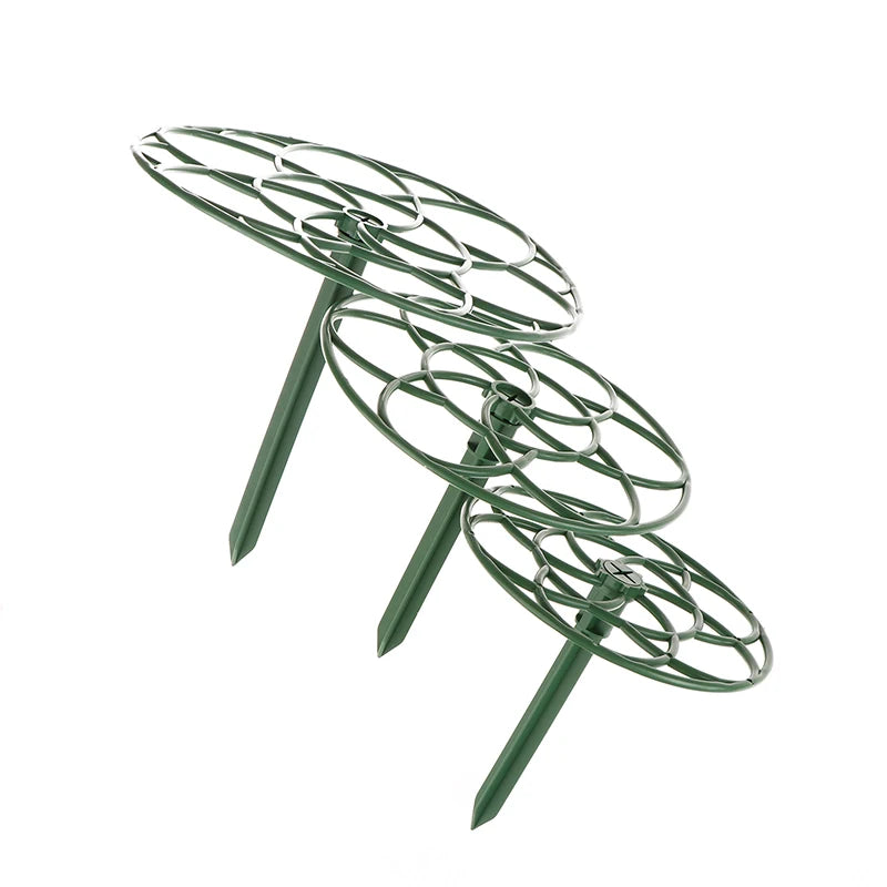 Sab8624e80c7e424cbcbdd29a873acebfg