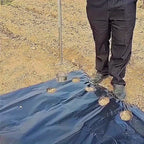 Sba221f3e55394439a6b706bd84fd9583R