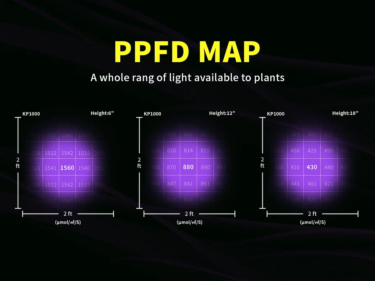 Sc626a0d249604852a549bad2037eb065Z