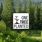 One tree planted