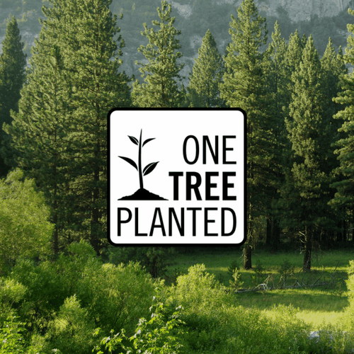 One tree planted